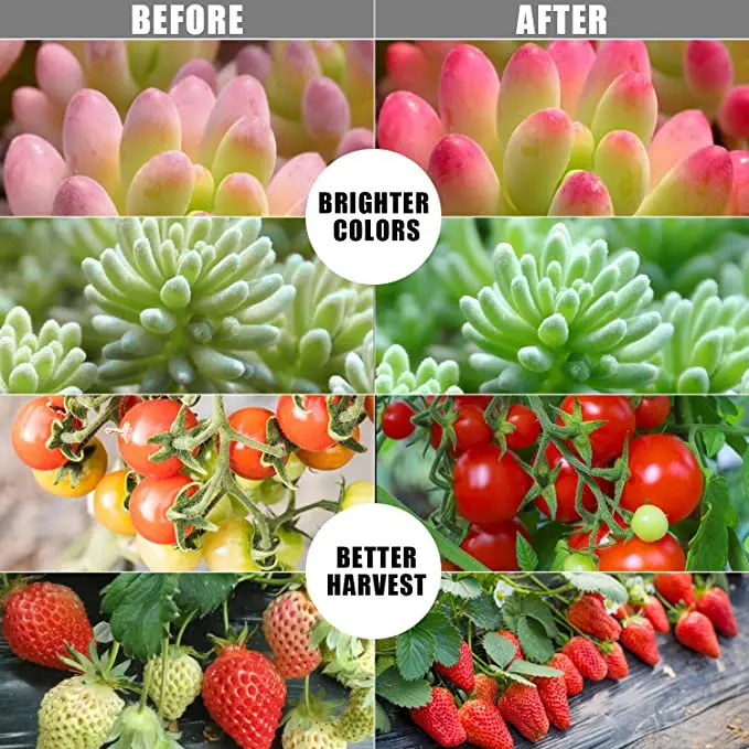 LED Grow Light USB Full Spectrum Phyto Lamp Plant Light for Home Plants Flower Seeds Indoor Grow Plant lighting