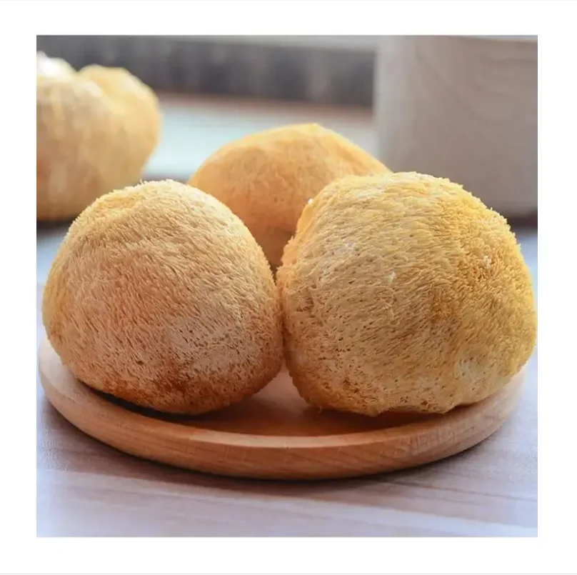 High Quality Deep-Mountain Hericium Erinaceus (Dried Large Cocklebur Mushrooms) Shiitake Fungus Whole Plant Extract for Food Use