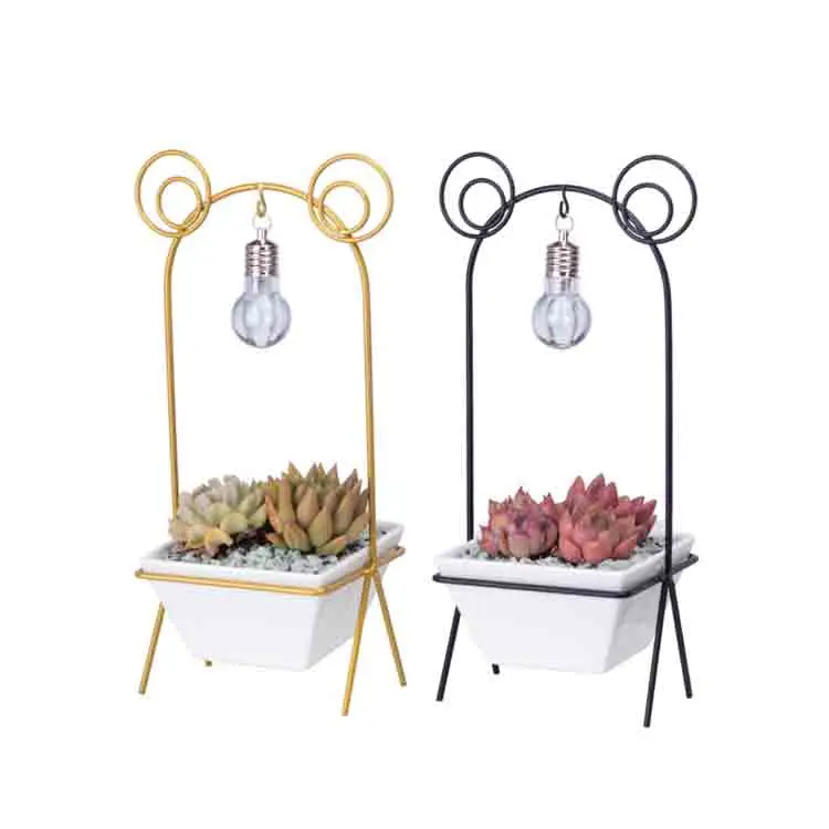 Factory Hot Sell White Ceramic Pot Frog Shape Creative Flowerpot For Desktop Ornaments