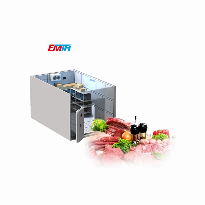 CHINA EMTH Supplier Cold Room refrigerator fan motor in storage food