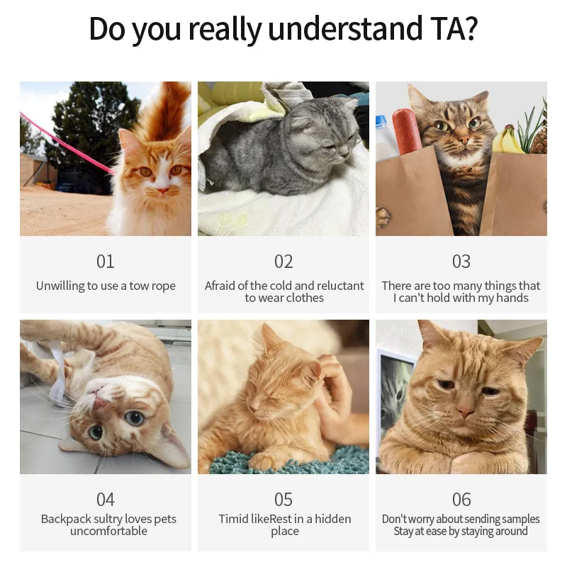 Portable bag for cats go out breathing backpack portable pet carrier for dogs and cats small pet travel bag