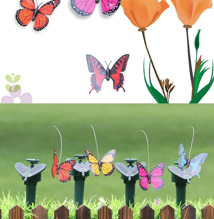 Butterfly details page_15