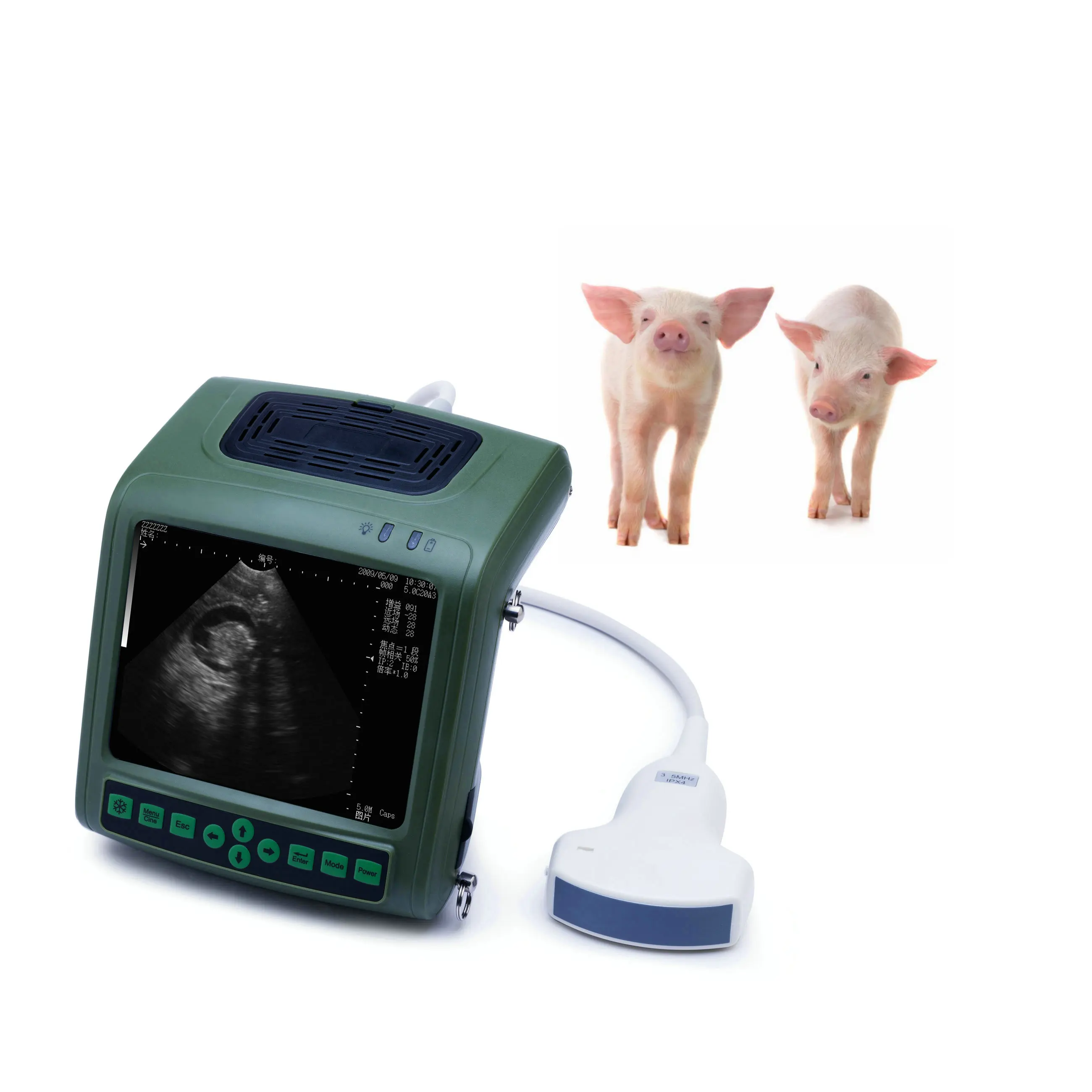 Handheld cheap portable veterinary instrument ultrasound probe pig pregnancy ultrasound scanner