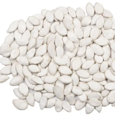 
high quality Chinese export snow white pumpkin seeds 