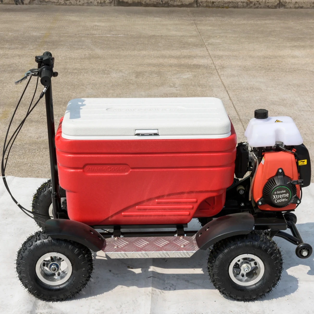 High Efficient Food Keeper Outdoor Camping Using Disk Brake Electric Motorized Cooler Scooter