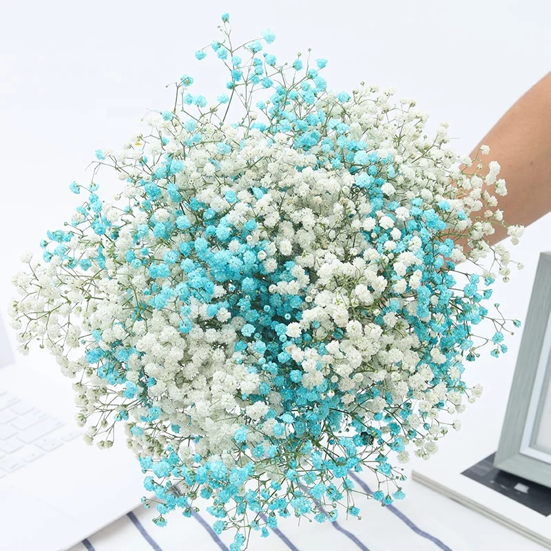 
Chasewin Wholesale for Artificial Babysbreath Preserved Flowers Gypsophila Natural Dried Flower Bouquet 