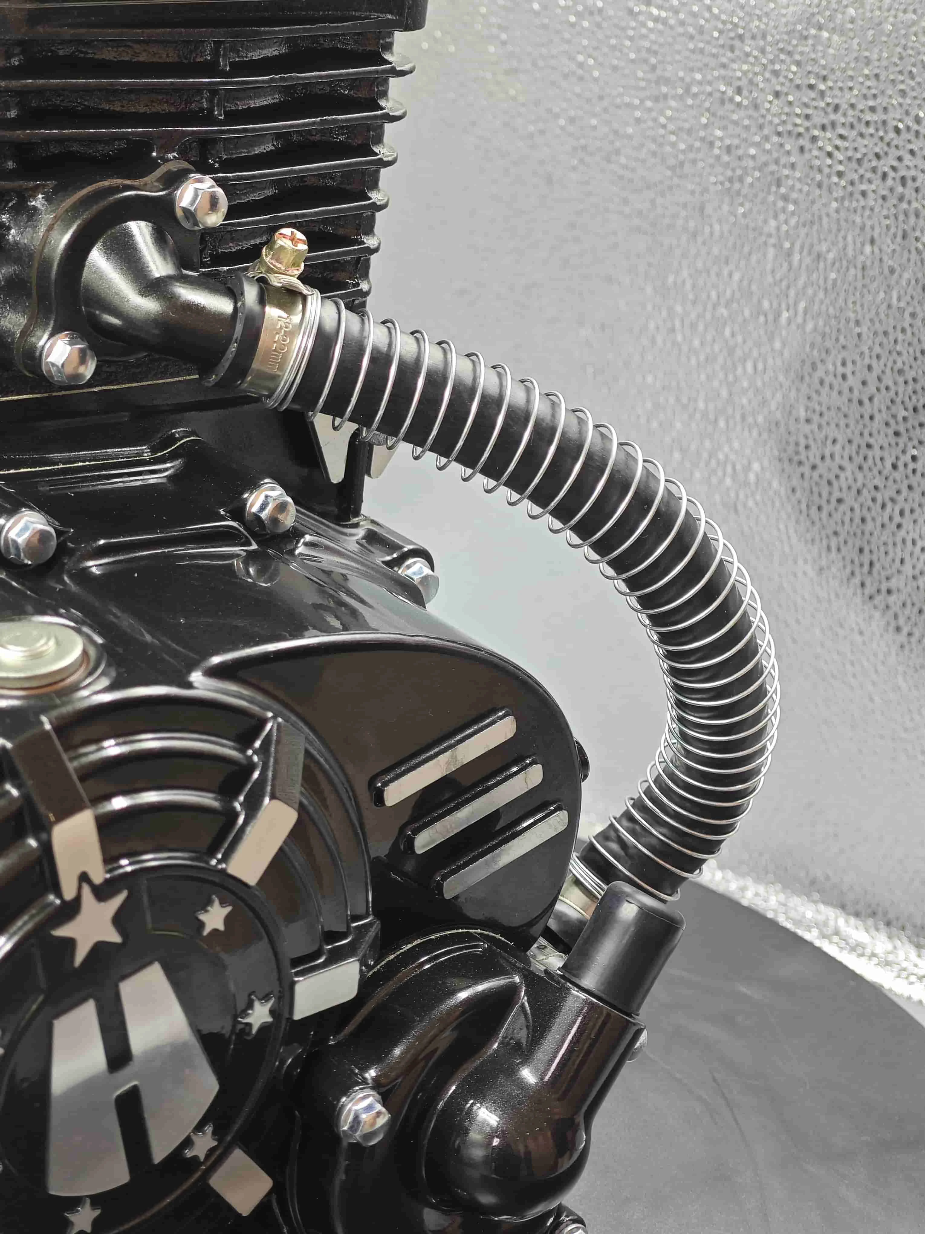 250 Water Cooling Liquid-Cooled Automatic Clutch Motorcycle Engine Tricycle Engine Brand New Motorcycle Engine