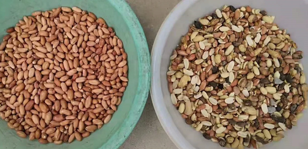 Intelligent CCD color sorter peanut color sorting machine rice color sorter for rice mill with high capacity