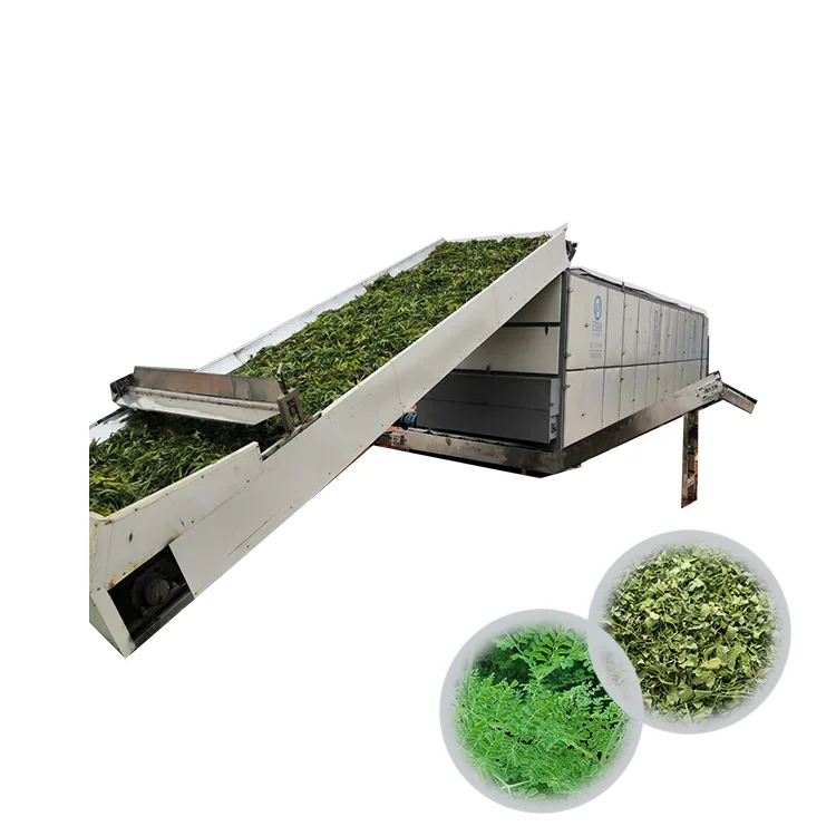 maize dryer machine wheat gluten drying equipment selengensis stevia leaves drying machine