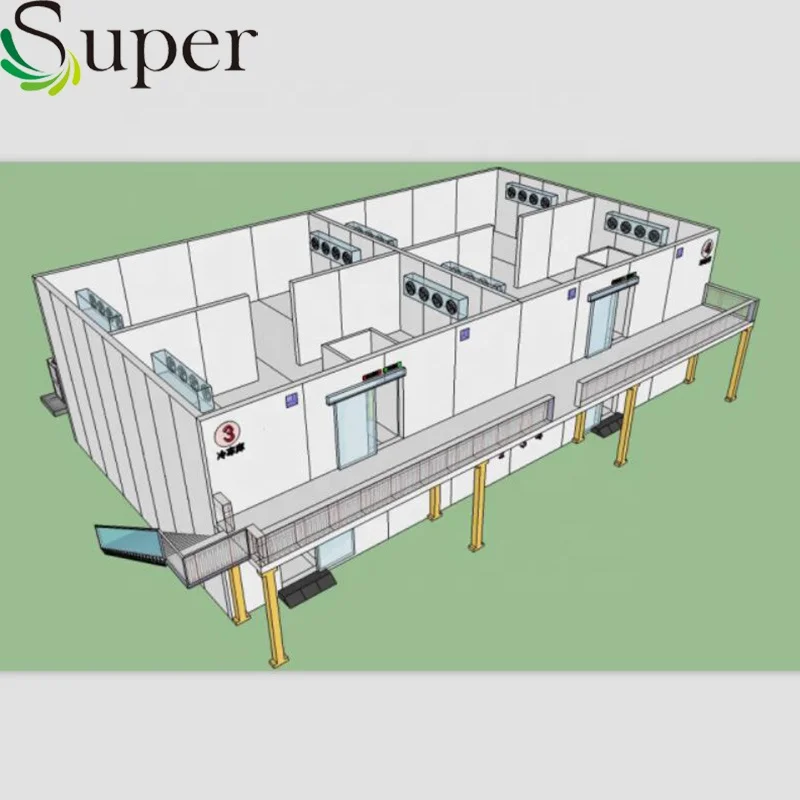 
Hot Sale Steel Structural Cold Room Storage Easy Installation 