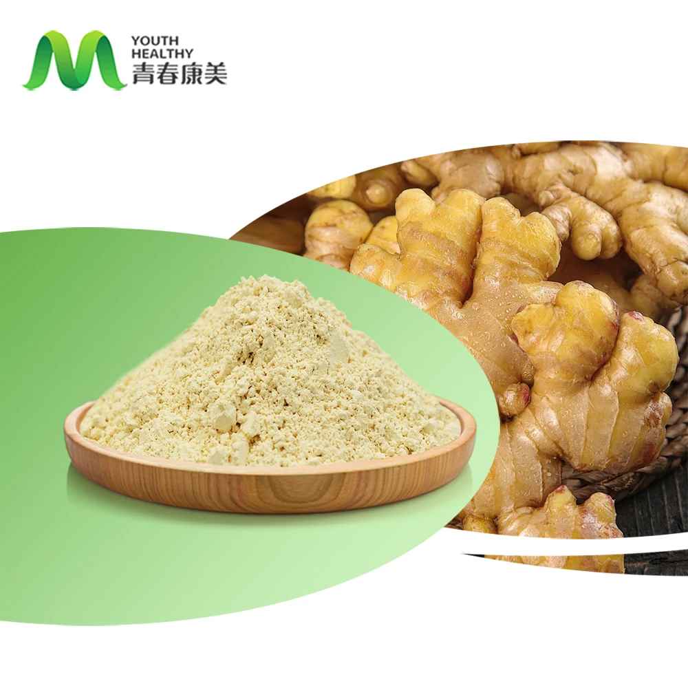 Manufacturer Supply Dry Ginger Powder