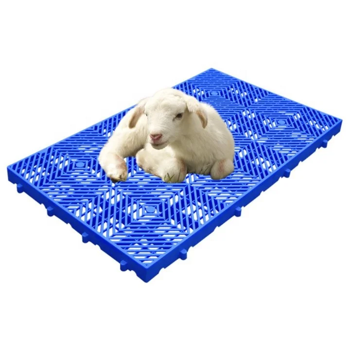 Equipment Backing Pallet  Plastic Slatted Floor Pallet Pig sheep farm use floors poultry farm flooring