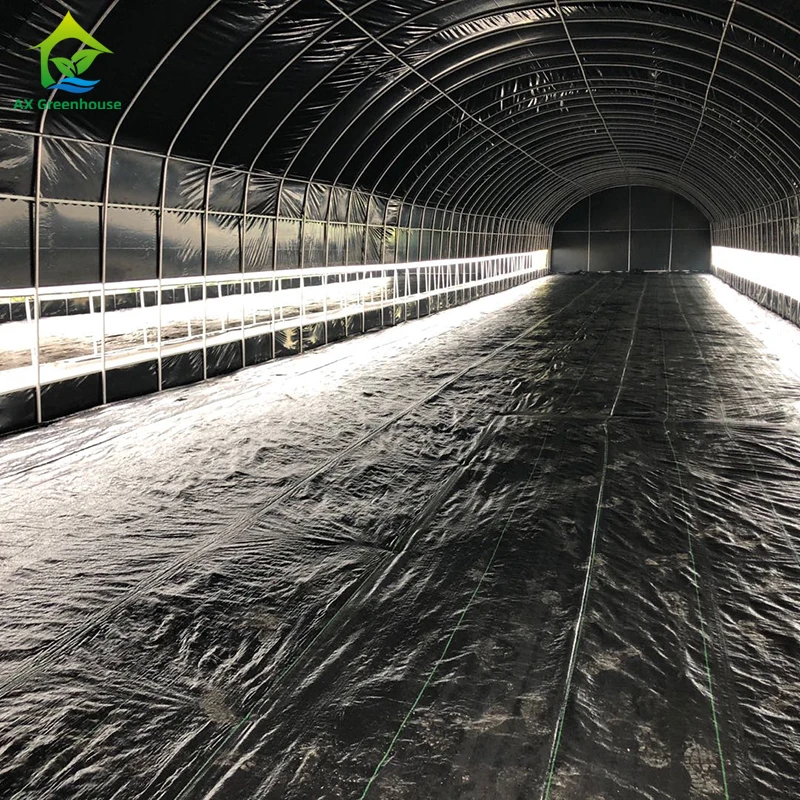 Commercial Industrial 30*100 Customized Blackout Light Deprivation Hemp Growing Poly Tunnel Greenhouse For Sale