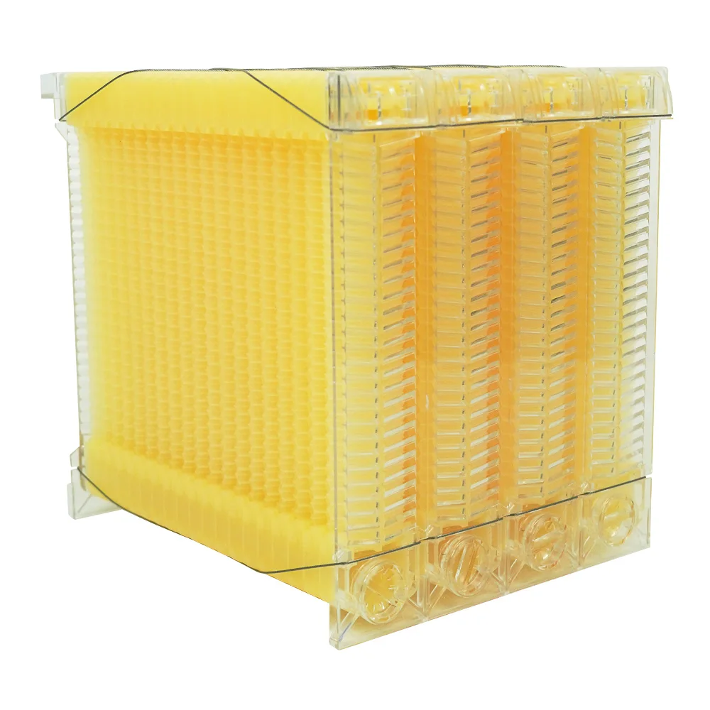 Golden Palace Flows Hive 4pcs Flowing Frames with 4pcs Automatic Flowing Tube and 1pcs Key Food-Grade