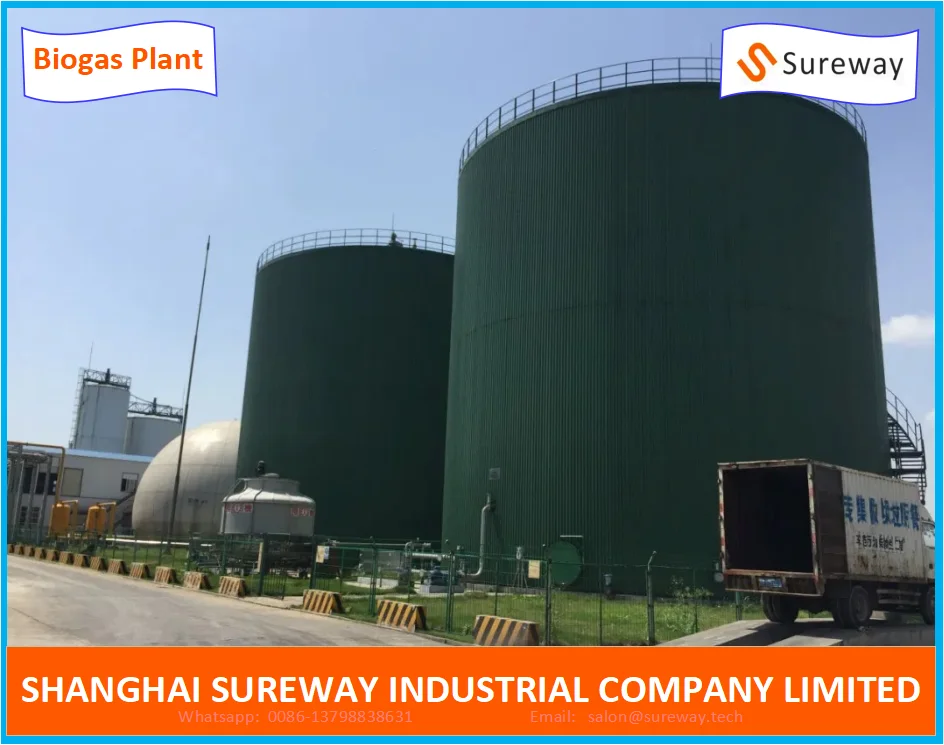 Biogas Project with Cstr Anaerobic Digestion Tank