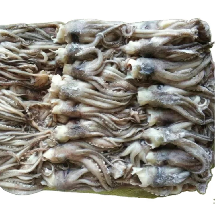 
High Quality Factory Price Sea Food frozen Gaint Squid Head for Family Dining Hotel 