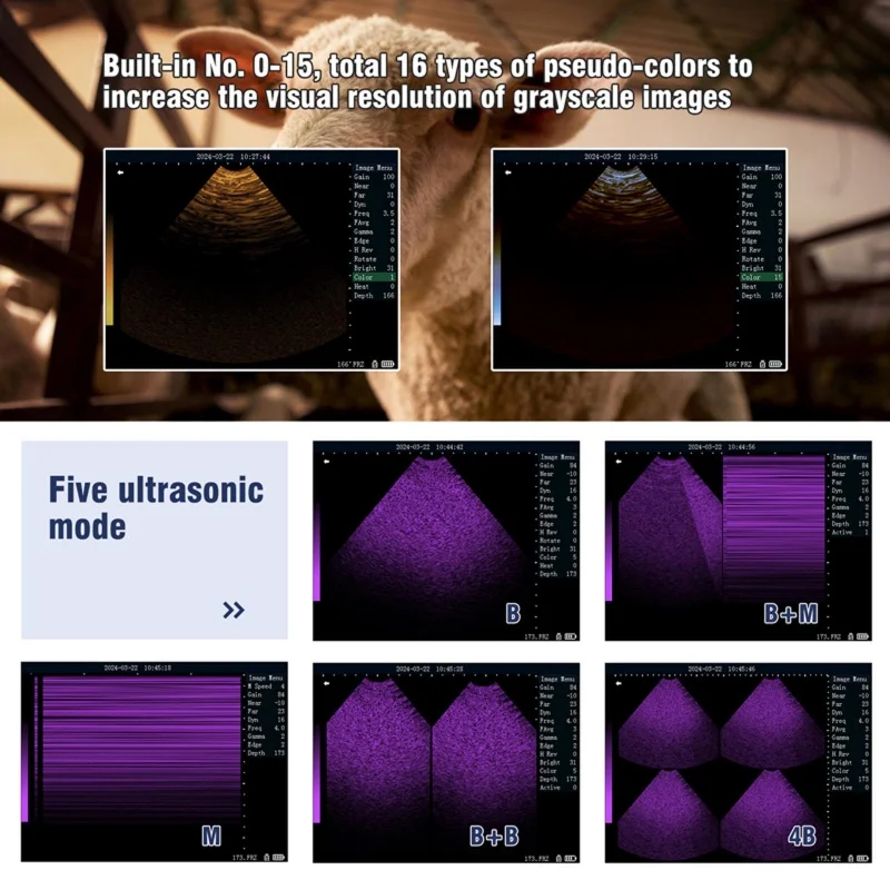 Ультразвуковой аппарат для животных