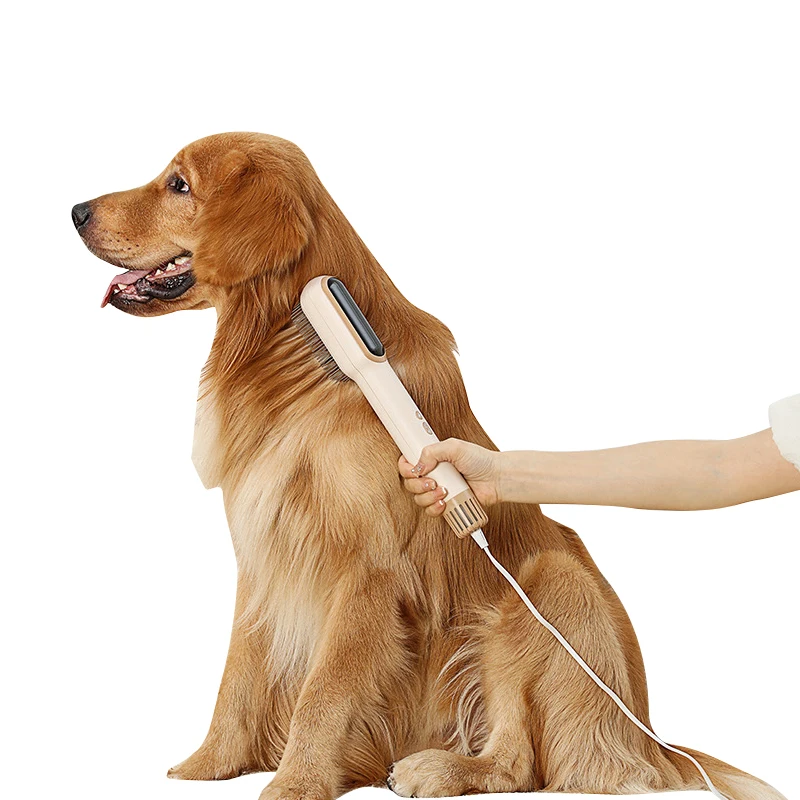 2024 New Arrival 2 in 1 cat dog grooming pet hair dryer comb brush