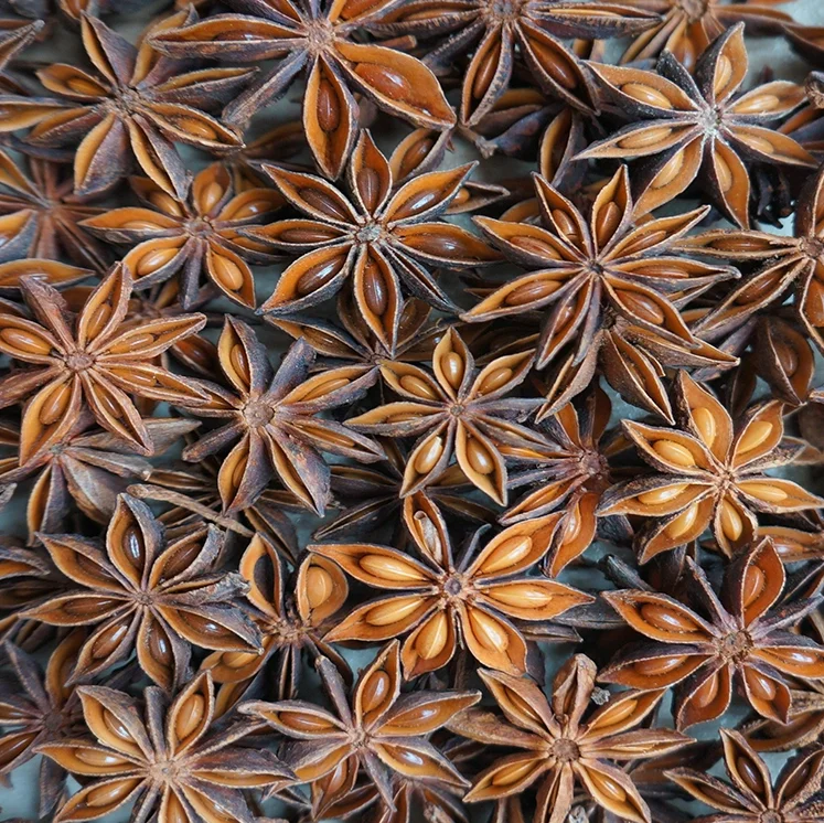 
Natural Food Spicy Dried star anise/illicium verum for seasoning, condinents for kitchen 