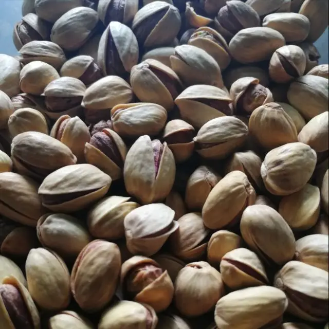 
Pistachio Nuts Raw/ In shell/ Roasted sweet high quality and cheap Pistachio Nuts 