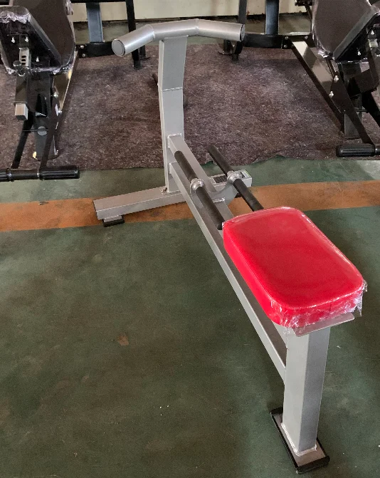 2023 Latest Commercial Gym Equipment Dumbbell Row Kickback Bench with Certifications