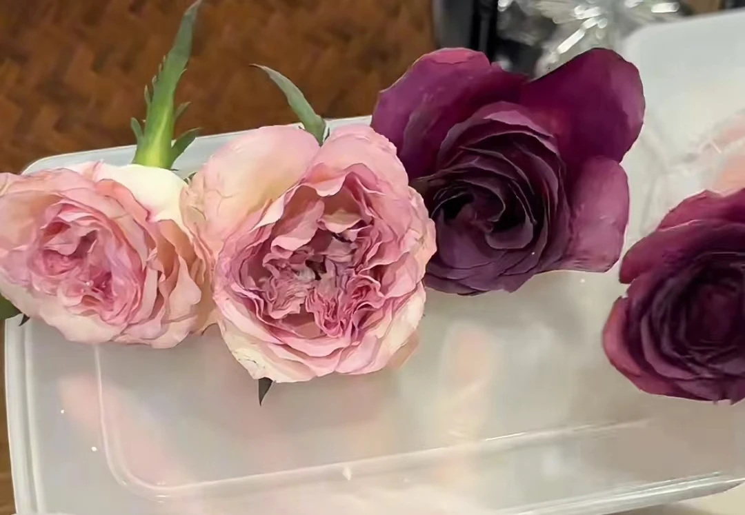 Flower Drying Agent Silica Gel Fine powder desiccant bead spray drying detergent powder plant  flower plants sale