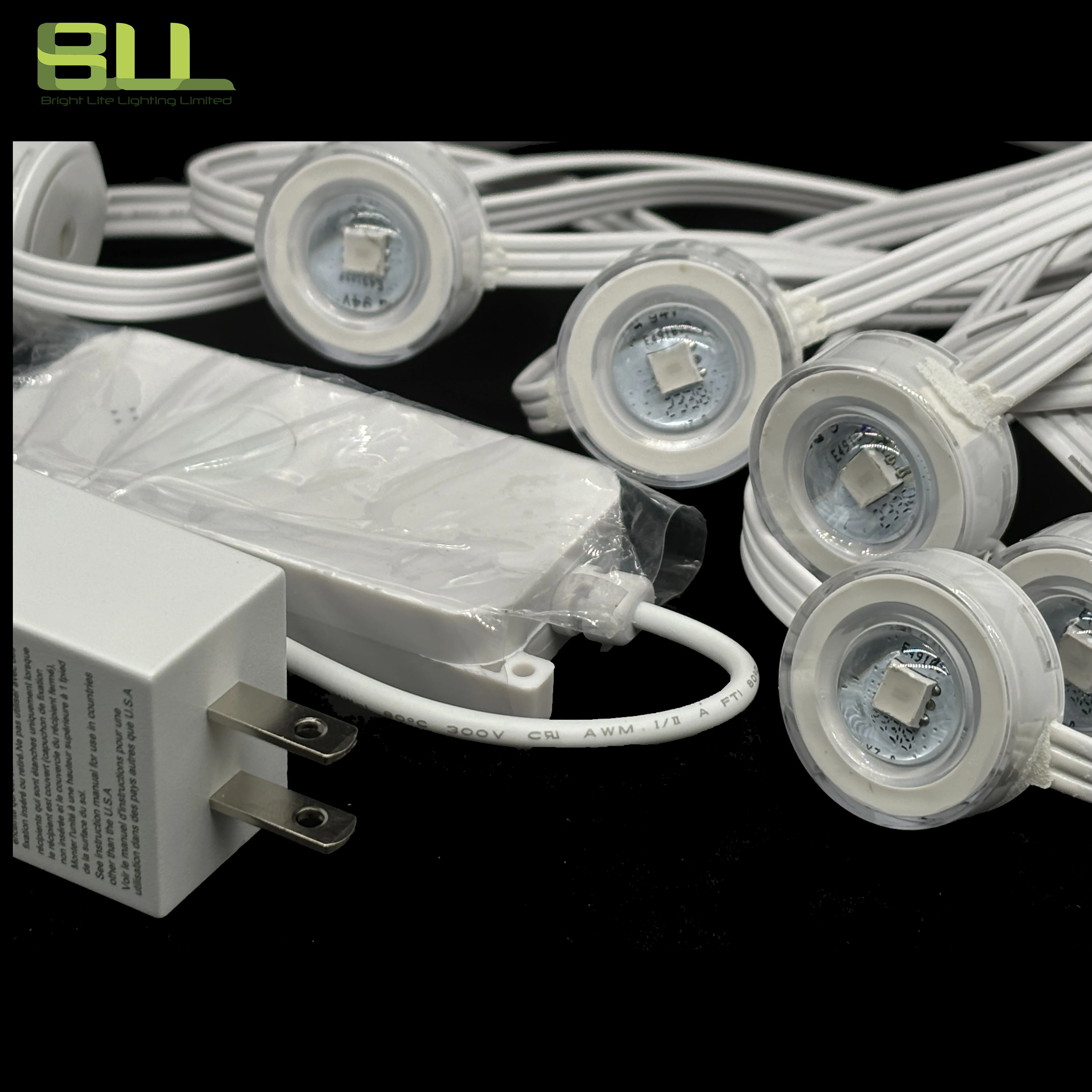 EAVES LIGHT IP65 RGB permanent outdoor light with Plug-in power supply for outdoor indoor decorative lights