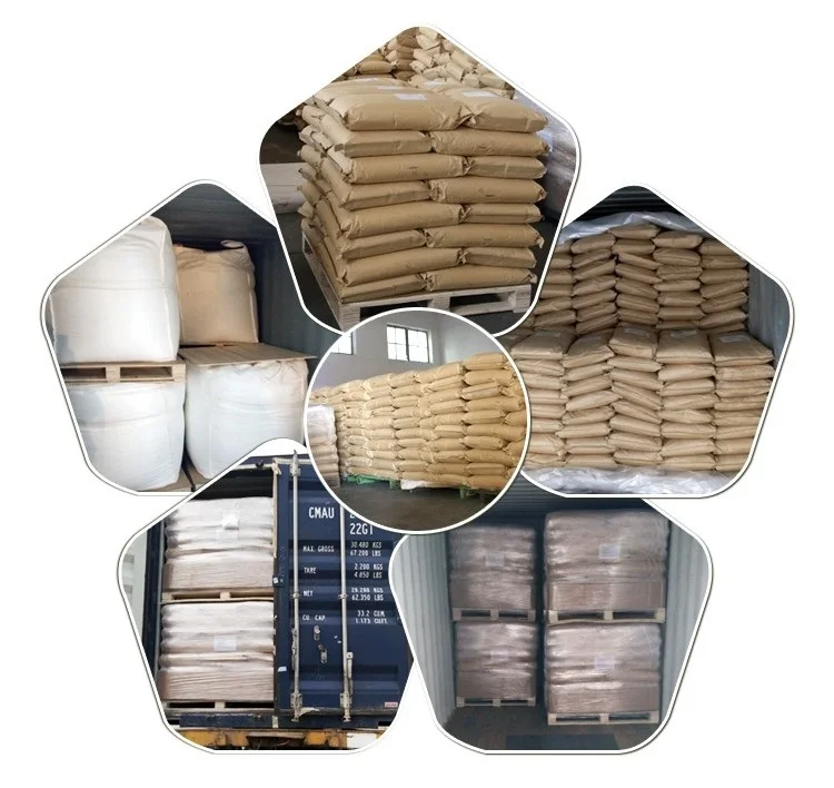 Factory supply freeze dried cauliflower powder broccoli extract powder