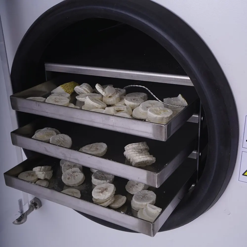 Buy Excellent Quality Home Use Food Flower Plant Mini Lyophilization Freeze Dryer Machine With Stoppering