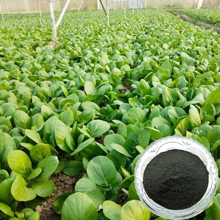 China Ningxia Humate organic fertilizers suppliers super natural plant growth stimulants lignite powder (1600547670070)