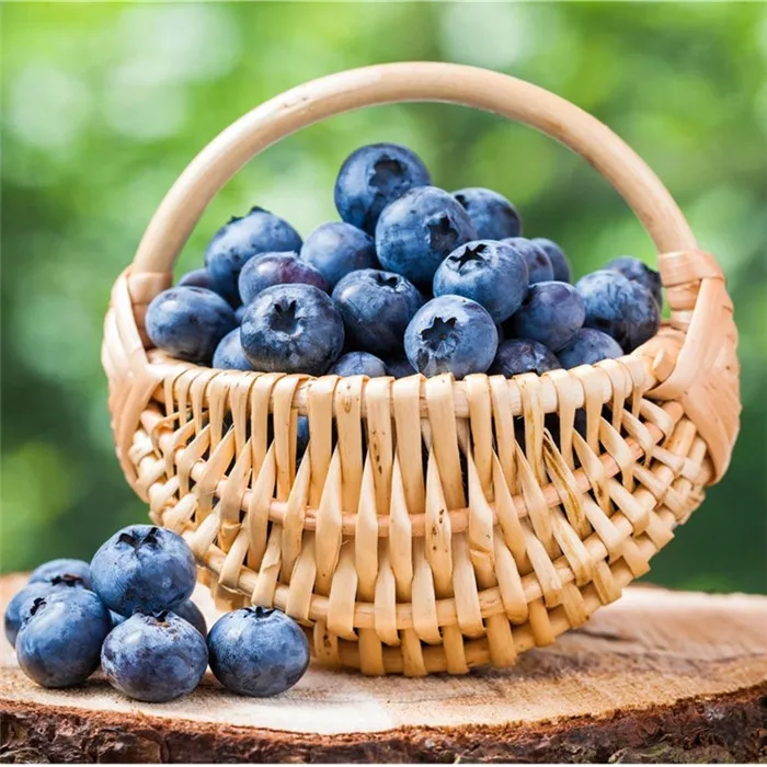 
Superior export quality frozen fruit frozen blueberry prices from China factory 