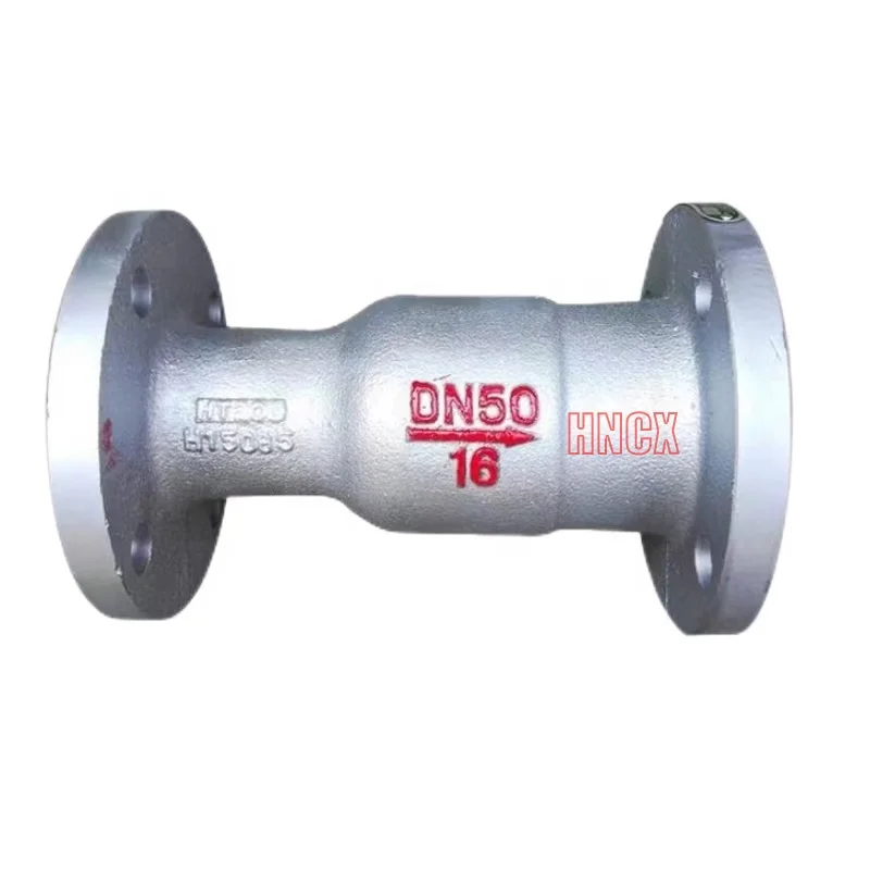 Cast Iron Vertical and Horizontal Dual-purpose Check Valve  Non-return Valve Boiler Steam  Soft Sealing Muffler Check Valve