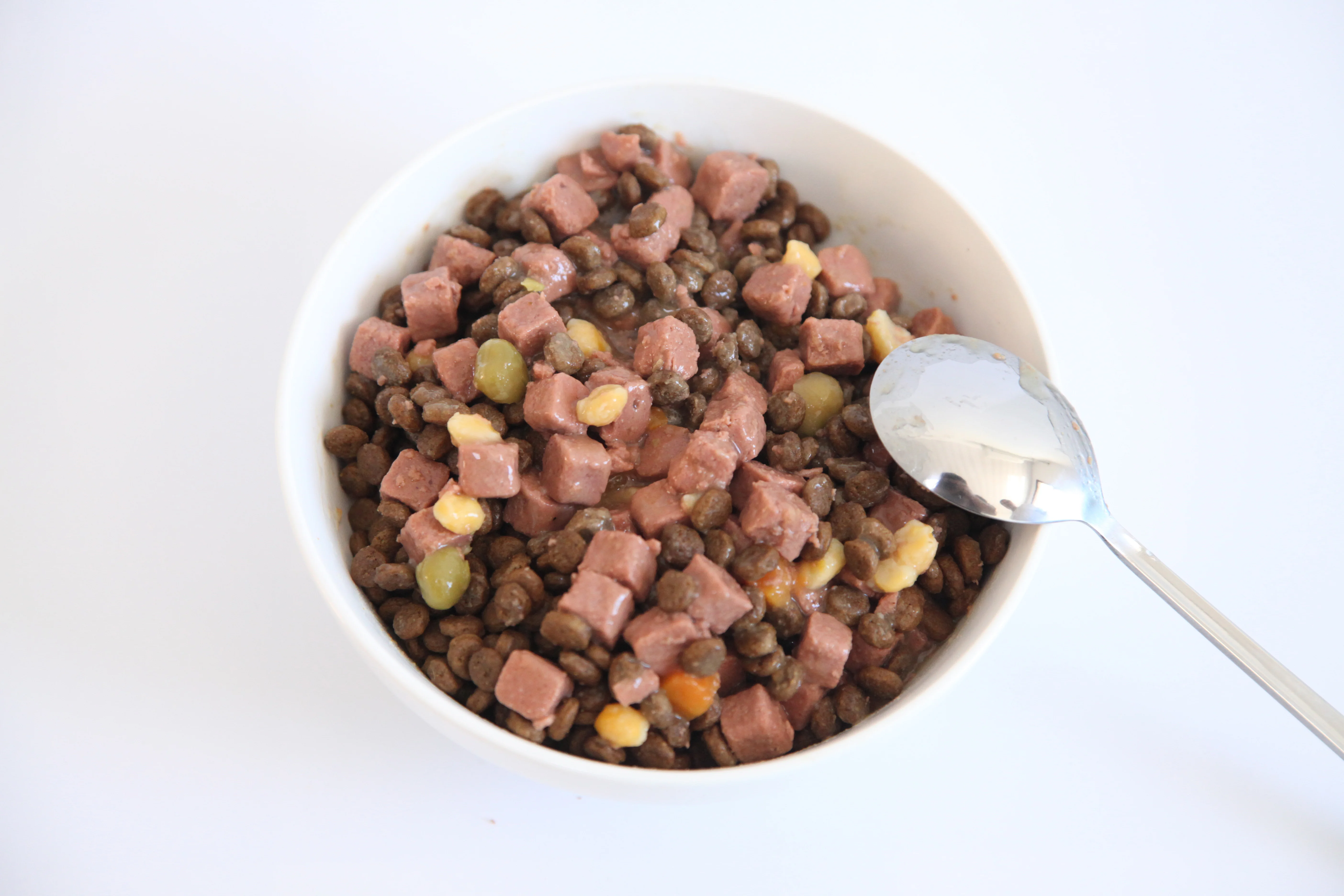 Outstanding Quality wet-dog-food Wide Varieties beef-pro-dog-food High Nutrition dog food brands from china