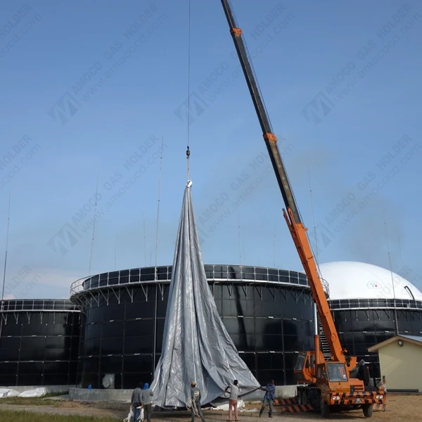 BIOGAZ крыши для biodigester фабрики отходов Биогазовая