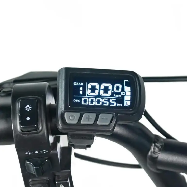 Manufacture 750w Electric Bicycle Lithium Battery Aluminum Frame 20inch Wheel Size Electric Mountain Bicycle Bike