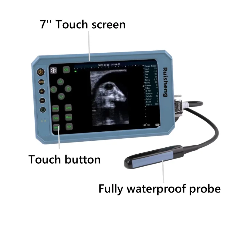 Ce Certified Portable Veterinary Handheld Ultrasound High Resolution Animal Echo Device For Cattle, Horse