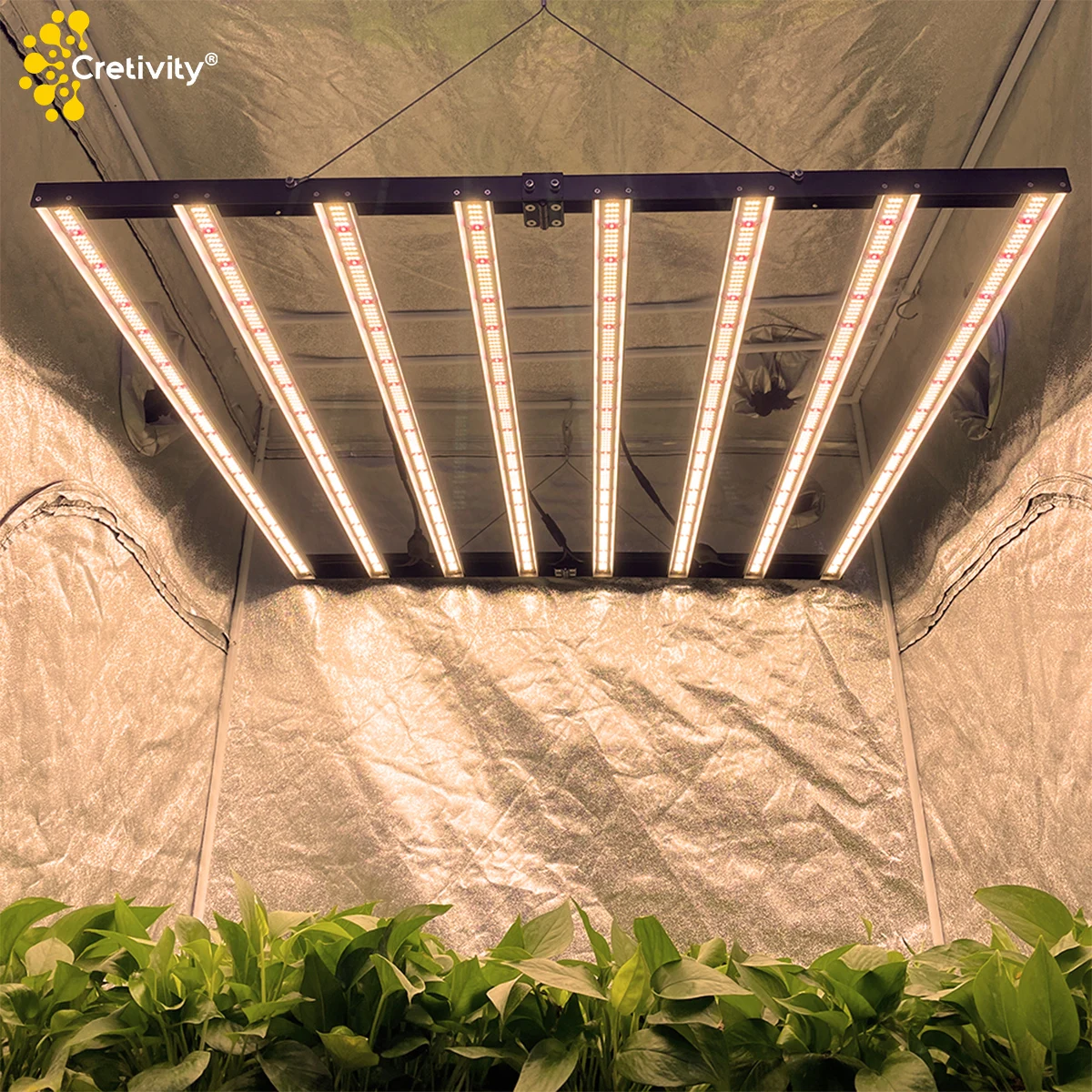 Cretivity Sunlight LED Grow Light 640W 720W Powerful Plants Growing Lamp For Rose Flowering Full Spectrum Led Grow Light