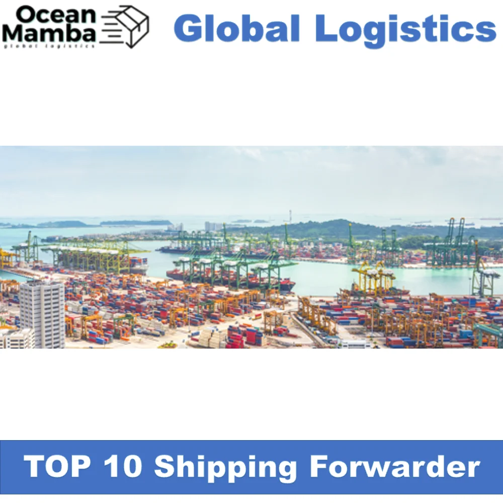 Ocean Mamba Canada Qatar south Africa Poland India shipping agent transporting cheapest international shipping