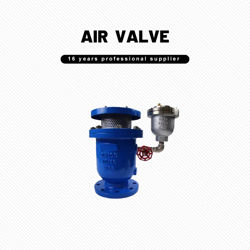 Wholesale Customizable API/ANSI/GB Composite Air Valve CARX-16Q DN32 High Quality QT450 PN16 Air Valve