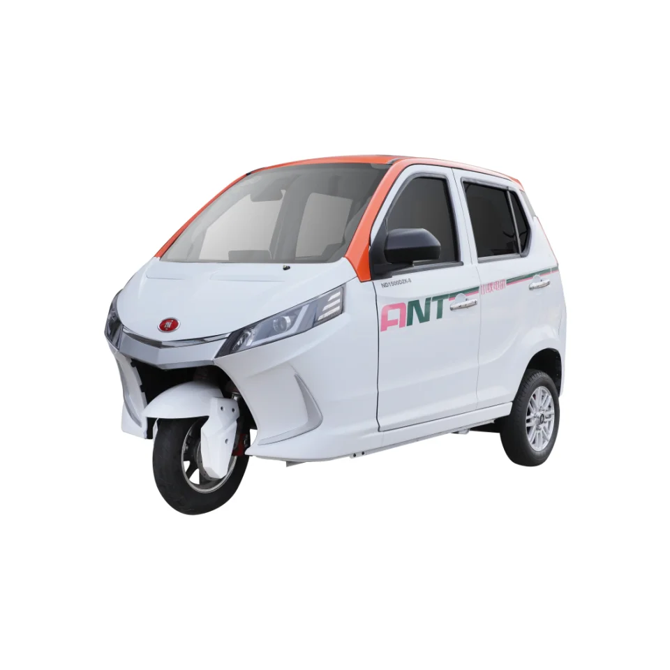 3 WHEEL electric tricycle city electric economic cars 60v verified battery powered small Moped Single Mini Tricycle Light Sedan