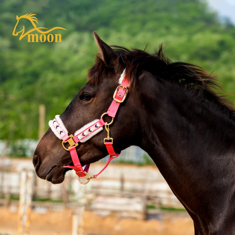 Wholesale Equestrian Products Hors Halters Set Customized LOGO Style Nylon Combo Accept Material Origin Place Model Offered