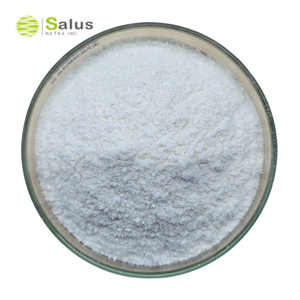High Quality Raw Material Orotic Acid