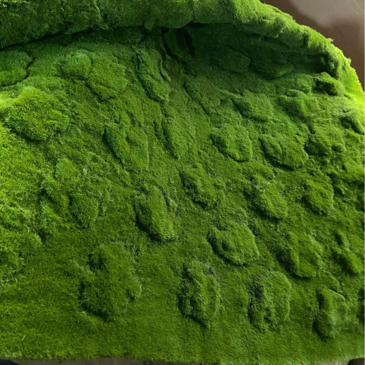 Artificial Moss Grass Wall For Decoration Real Moss Wall Natural Preserved Moss Panels