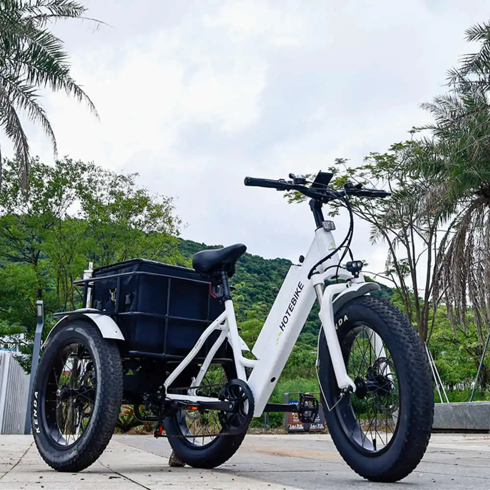Tricycle electric 3 wheel electric tricycle motorcycle 500w 3 wheels electric bike with roof electric tricycle for sale