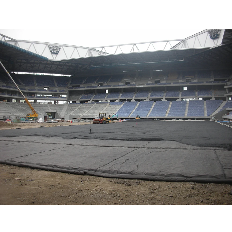 Dimensional polyester needle punched spunbond for civil engineering