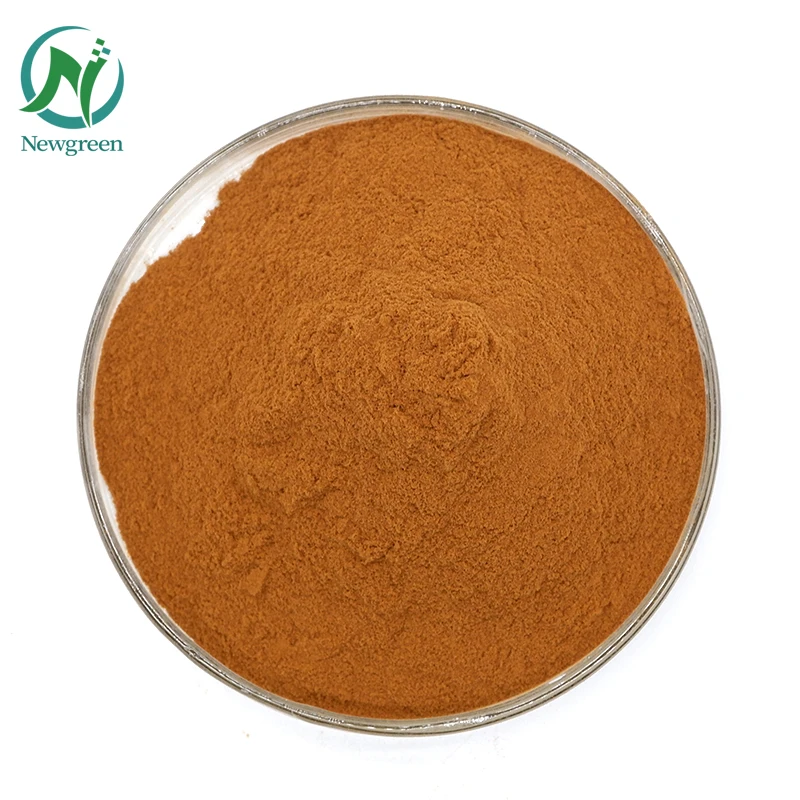 Wholesale Food Grade Riboflavin USP Vitamin B2 Powder