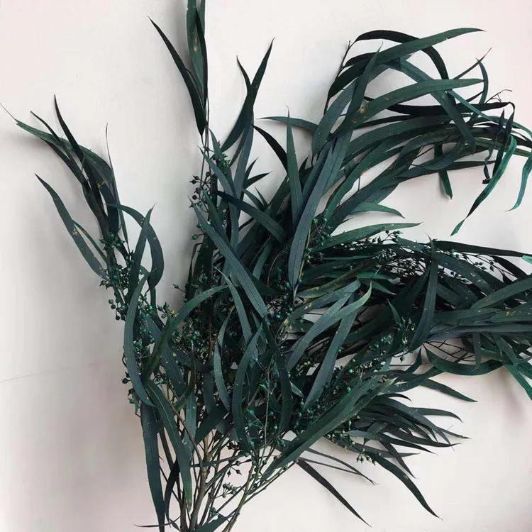 Amazon hot sell home decoration wholesale everlasting eucalyptus leaves preserved eucalyptus saligna seed
