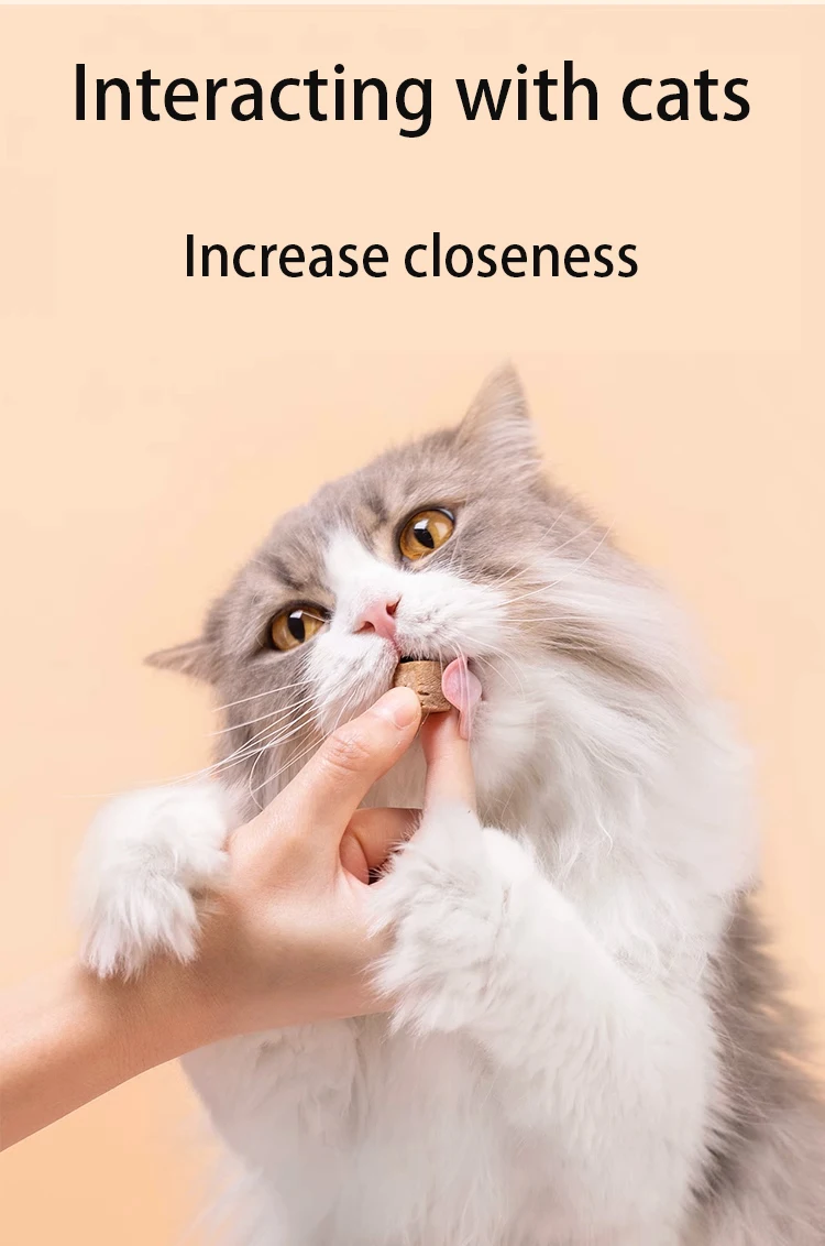 Cat biscuits pet snacks mint hair removal ball biscuits kitten snacks small fish biscuits cat canned