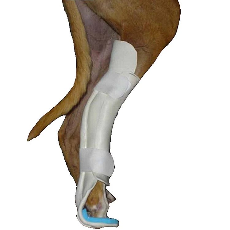 dog leg splint