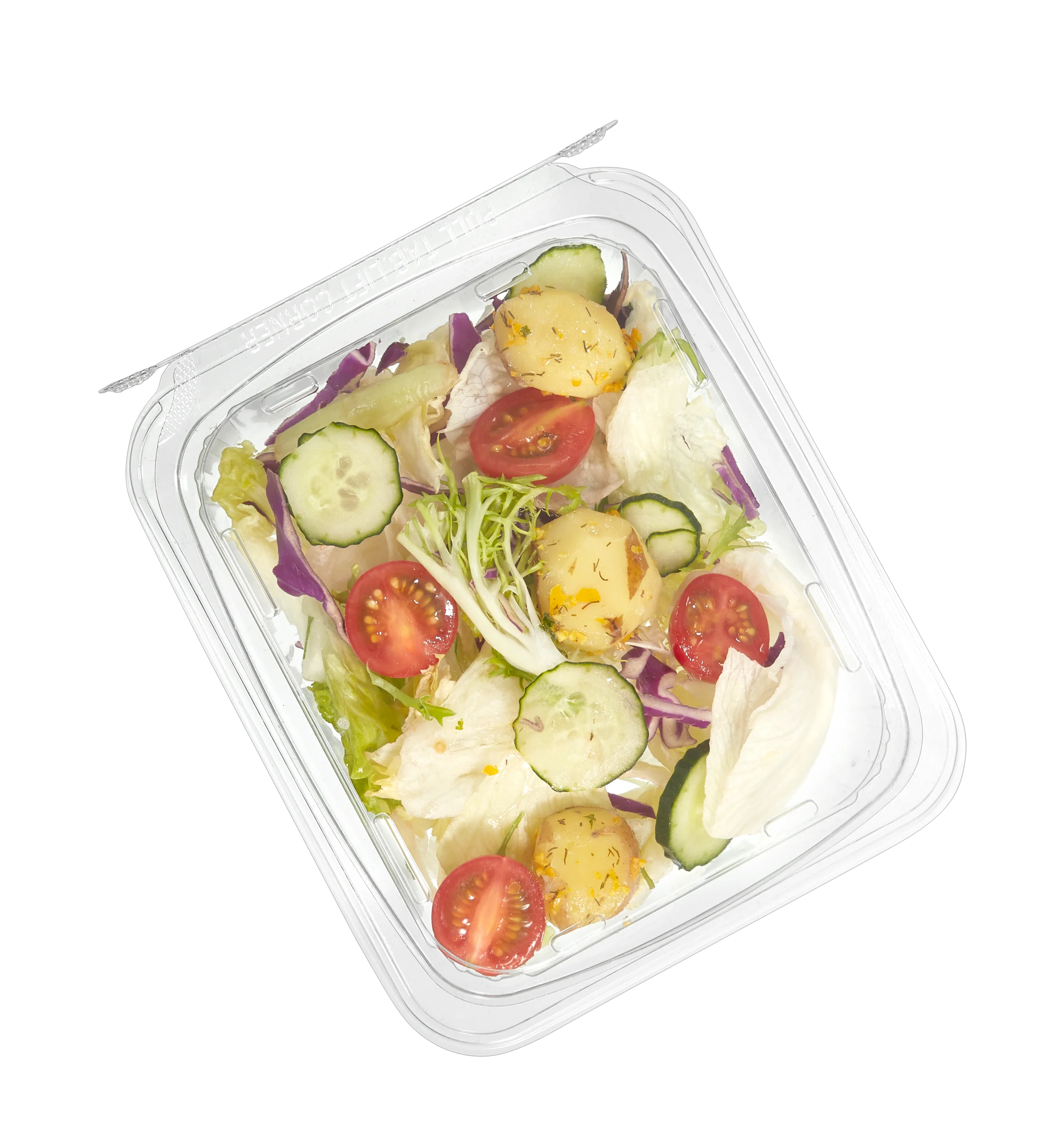 Disposable Blister rectangle 1/2 compartments Plastic Salad Box Hinged lid rip off seal Box PET fruit packaging container